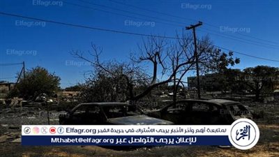  ذعر وهلع في اليونان بعد اجتياح حريق غابات شمال العاصمة أثينا