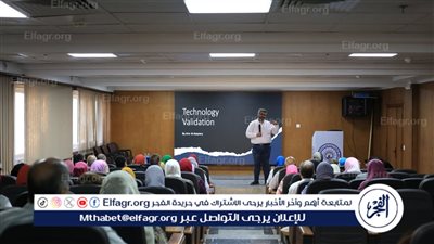 التعليم العالي: تنظيم فعاليات وورش عمل خاصة بـ 