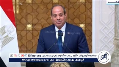 السيسي: مصر ستتولَّى رئاسة مجلس السلم والأمن الأفريقى أكتوبر المقبل
