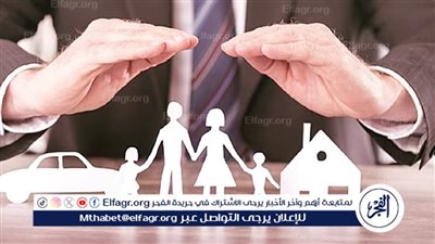حوادث الطرق ومخاطر الطلاق.. تعرف على أنواع التأمين الإلزامي بالقانون الموحد