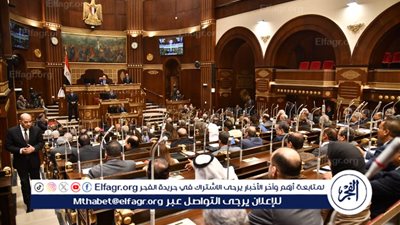 برلماني: الدولة تعمل على توطين وتطوير الصناعة لدعم الاقتصاد وتنميته