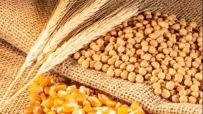 مجلس الحبوب الدولي يُخفض توقعاته لإنتاج واستهلاك الحبوب العالمي في 2025