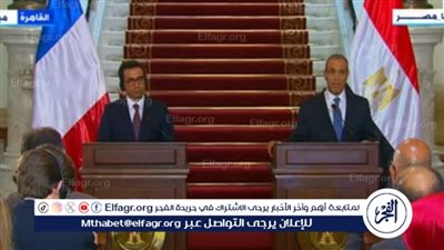 وزير الخارجية يكشف تفاصيل مباحثاته مع نظيره الفرنسي