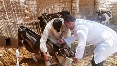 انطلاق فعاليات الحملة القومية الثانية للتحصين بالحمى القلاعية وحمى الوادي المتصدع