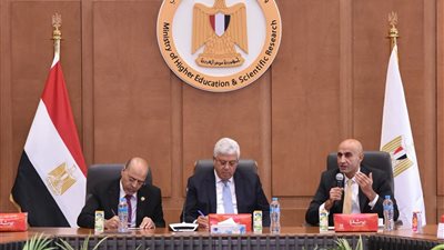 أيمن عاشور: هناك وجهان لربط الدراسة بسوق العمل: الأول أكاديمي والثاني مهني