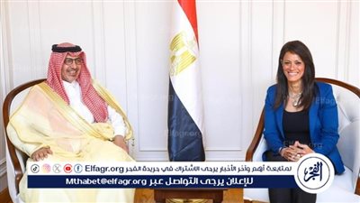 سفير المملكة لدى مصر يلتقي وزيرة التخطيط