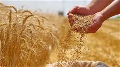 هل سيتم رفع سعر الخبز المدعم؟.. 