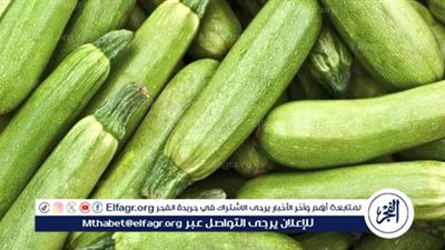 طريقة عمل الكوسة باللحمة المفرومة خطوة بخطوة.. وصفة سهلة ولذيذة على الطريقة المصرية