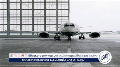 حشرات تجتاح عنبر طائرة وتتسبب بمشكلة للركاب