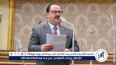 عضو لجنة الصناعة بالنواب: الاعلام الوطني قاطرة تنمية للحفاظ علي الهوية 