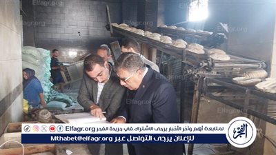جولة مفاجئة لمحافظ الدقهلية على المخابز البلديه بقرية ويش الحجر والاستماع للمواطنين