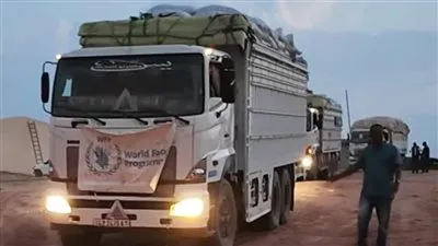 الإمارات ترحب بوصول أول دفعة من المساعدات الإنسانية إلى السودان