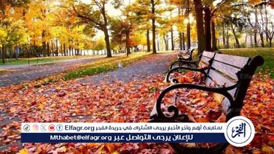 سحر الخريف: فصل الجمال والاعتدال