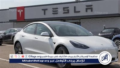 تسلا تقطع نصف مليون شجرة في ألمانيا لتطوير مصنعها