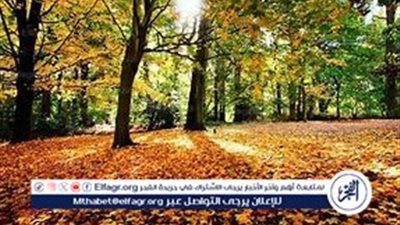 موعد بداية فصل الخريف 2024