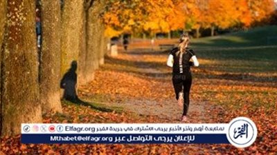 فصل الخريف: فرص لاكتشاف الجمال والراحة في كل لحظة