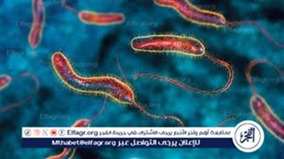 استشاري مناعة يوضح أهم أعراض الإصابة بالكوليرا وطرق الوقاية (فيديو)