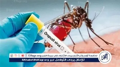 أعراض فيروس أوروبوش: ما يجب معرفته عن هذا الفيروس النادر