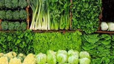  غنية بالفيتامينات والمعادن.. تعرف على أهمية وفوائد الخضروات الورقية