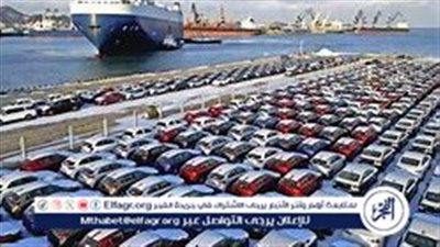  تشكيل لجنة لمراجعة ملفات سيارات المعاقين.. الحكومة تستهدف مكافحة التربح غير المشروع