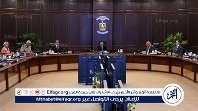 عاجل| بدء اجتماع مجلس الوزراء برئاسة مدبولي