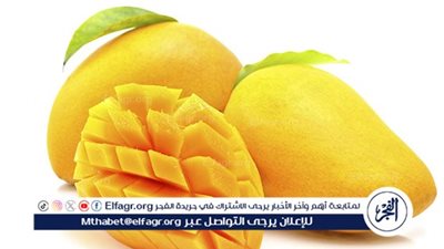 طرق إضافة المانجو إلي الطعام 