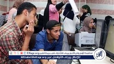 تنسيق الدبلومات الفنية 2024: الكليات والمعاهد المتاحة وخطوات التسجيل