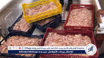  تحرير 392 مخالفة تموينية متنوعة خلال هذا الأسبوع بالفيوم