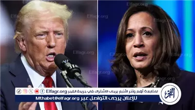 هل كامالا هاريس جاهزة لمناظرة ترامب؟ عضو في الحزب الديمقراطي الأمريكي يُوضح (فيديو)