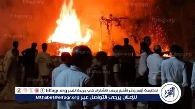 حريق هائل يلتهم أشجار نخيل بعين السيليين بالفيوم 