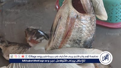 محافظ الغربية: حملة تفتيشية مكبرة على محال بيع الأسماك والدواجن واللحوم