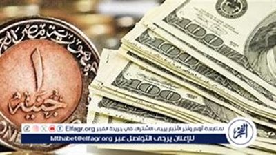 أسعار الدولار مقابل الجنيه المصري اليوم الإثنين 2 سبتمبر 2024