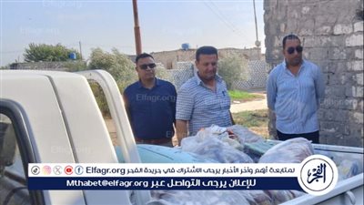 تموين الإسماعيلية يضبط 1500 علبة سجائر مهربة وزيوت عطرية ومياه غازية منتهية الصلاحية