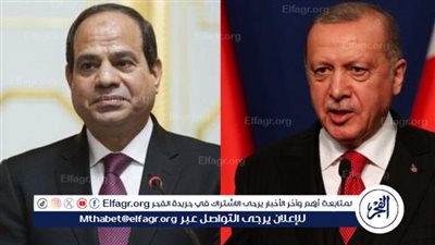 خبير علاقات دولية: مصر تُعد بوابة تركيا للشرق الأوسط وإفريقيا (فيديو)