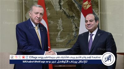 السيسي وأردوغان يؤكدان الرغبة في تحسين علاقات مصر وتركيا