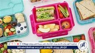 كيف تختارين «اللانش بوكس» وشنطة المدرسة الأفضل لطفلك؟.. خبيرة توضح