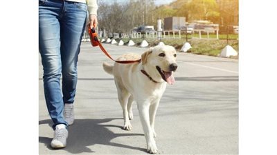  مالك شركة دعاية واإعلان يتعدى على مواطن باستخدام 