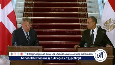 وزير الخارجية: مصر تتحمل أعباء هائلة لمكافحة الهجرة غير الشرعية (فيديو)