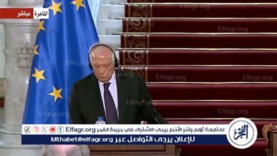 بوريل: نشكر مصر على جهودها في حل أزمات المنطقة (فيديو)