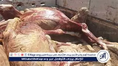 ضبط 400 كيلو لحم حمير قبل توزيعها على مطاعم سوهاج