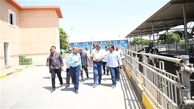 محافظ قنا يتفقد عددا من مشروعات الأمن الغذائي بمنطقة المعنا