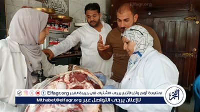 محافظ الغربية يتابع نتائج الحملات التفتيشية على الأسواق والمحال التجارية بحي ثان المحلة ومركز ومدينة بسيون