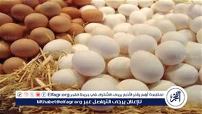 مع اقتراب العام الدراسي الجديد| الشُعبة تزف بشرى سارة عن سعر بيض المائدة