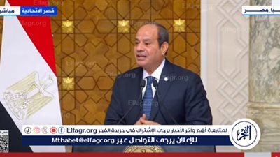 السيسي: ملف مياه النيل يمثل أولوية للحكومة المصرية (فيديو)