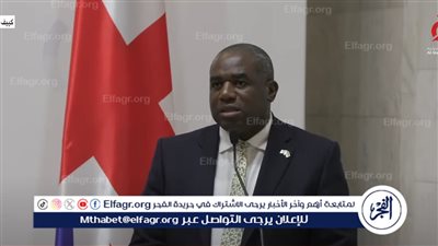 وزير الخارجية البريطاني يُعلن تزويد أوكرانيا بمدرعات بنهاية 2024