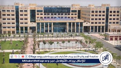 أستاذ مناهج: نشهد زيادة في أعداد الطلاب الوافدين للتعلم في مصر