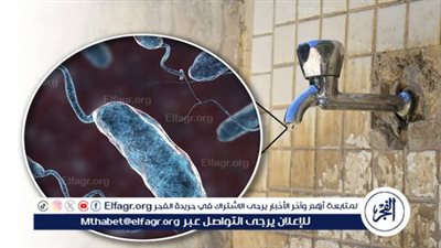 استشاري أمراض باطنة يكشف تفاصيل البكتيريا المسببة لعدوى أهالي أسوان
