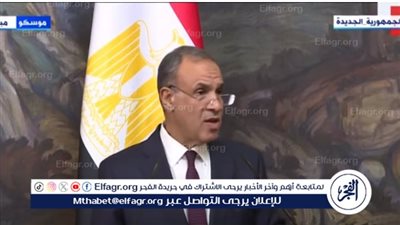 وزير الخارجية: ناقشت مع بلينكن التعاون في مجالات الطاقة الجديدة والمتجددة (فيديو)