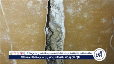 ضبط 2 طن جبنة رومي ولانشون فاسدين وغير صالحين للاستهلاك الآدمي في الغربية