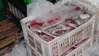 ضبط 5 أطنان لحوم مجمدة مجهولة و13 شيكارة دقيق بلدي مدعم بالمنوفية